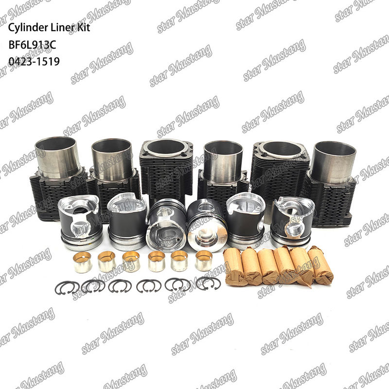 नई स्थिति डीजल इंजन प्रकार लाइनर किट के लिए BF6L913C 0423-1519