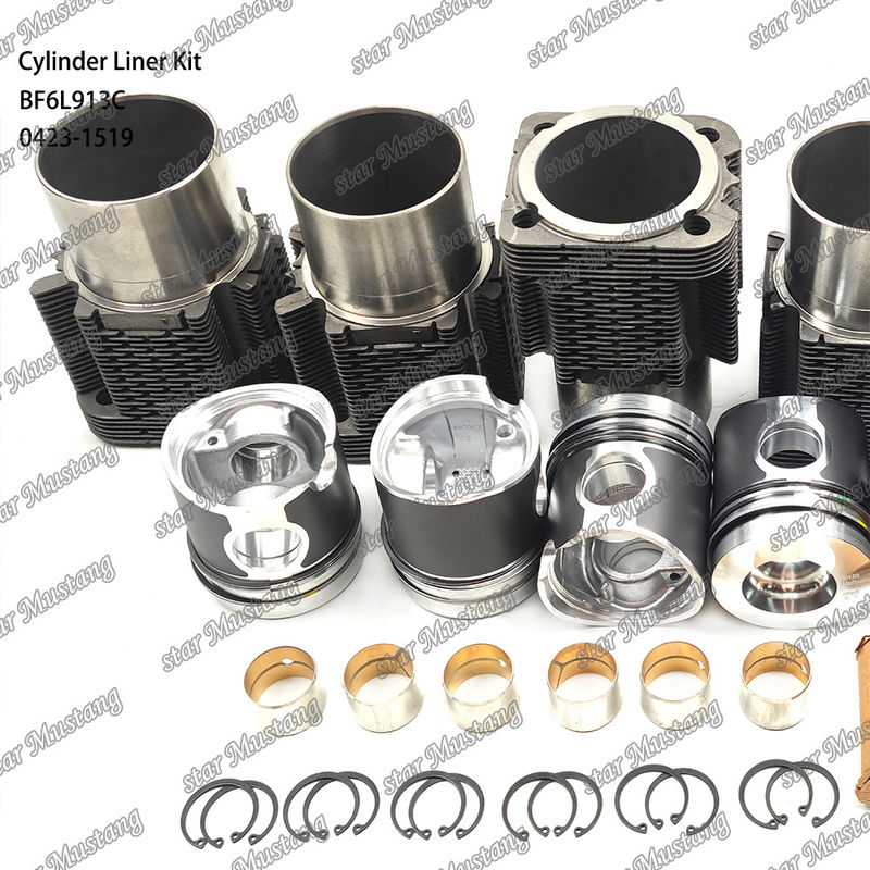 नई स्थिति डीजल इंजन प्रकार लाइनर किट के लिए BF6L913C 0423-1519