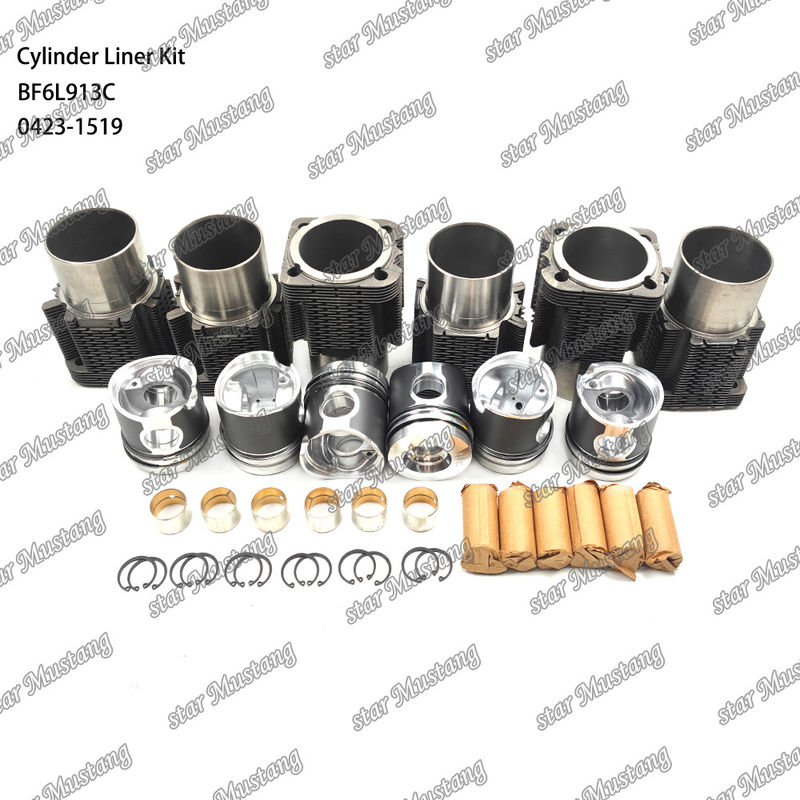 नई स्थिति डीजल इंजन प्रकार लाइनर किट के लिए BF6L913C 0423-1519