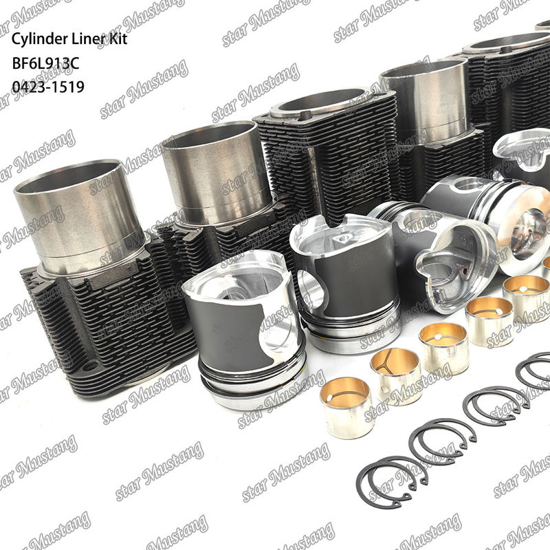 नई स्थिति डीजल इंजन प्रकार लाइनर किट के लिए BF6L913C 0423-1519