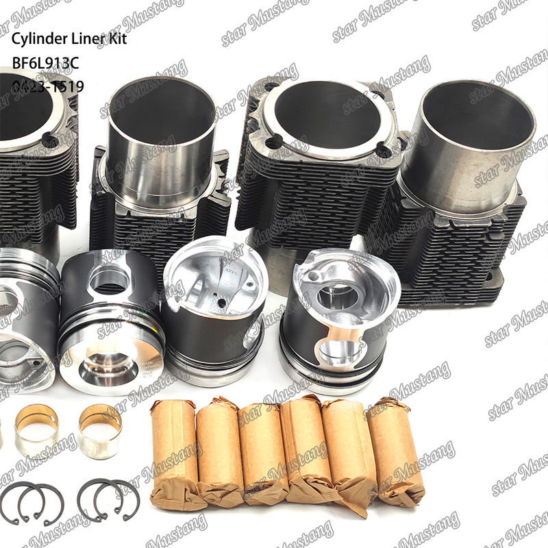 नई स्थिति डीजल इंजन प्रकार लाइनर किट के लिए BF6L913C 0423-1519