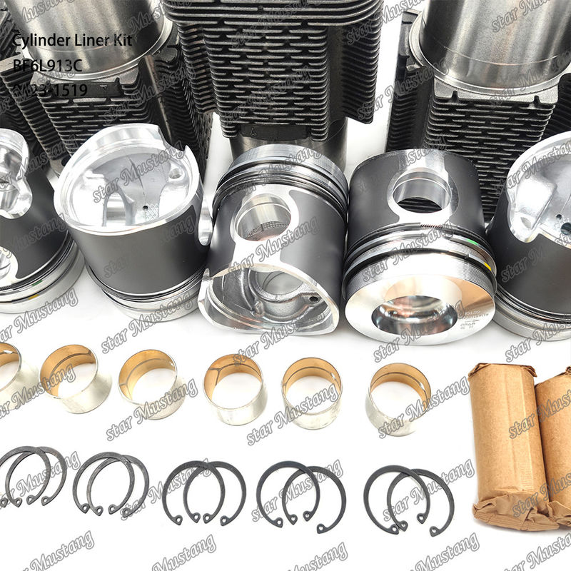 नई स्थिति डीजल इंजन प्रकार लाइनर किट के लिए BF6L913C 0423-1519