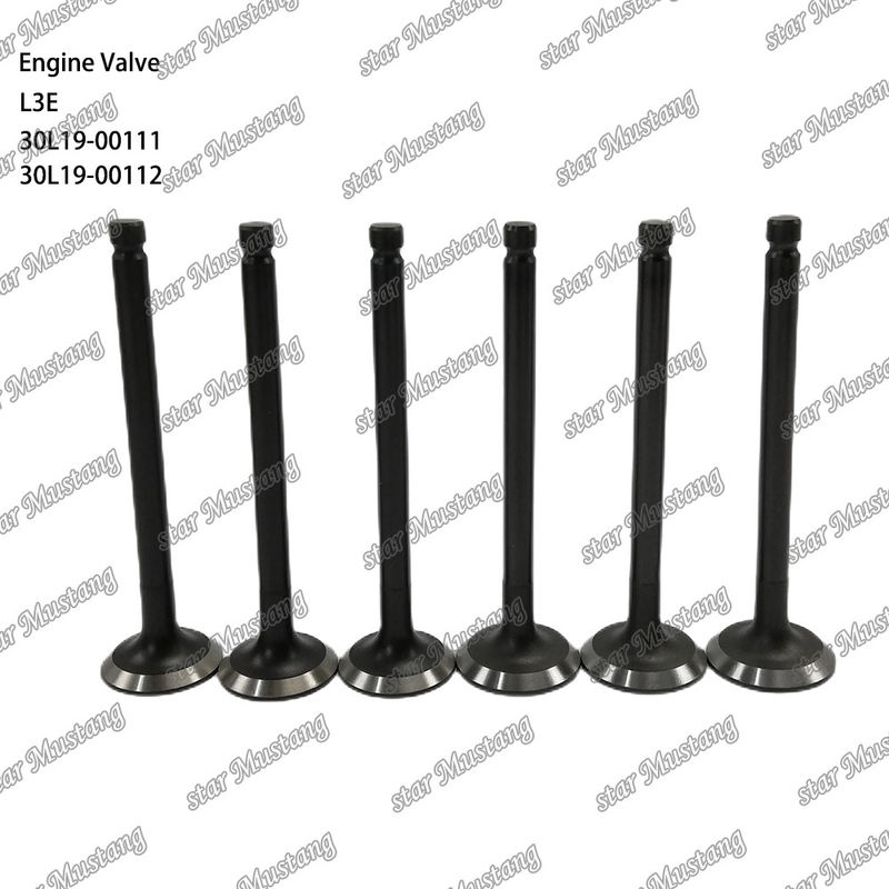 L3E 30L19-00111 30L19-00112 डीजल इंजन वाल्व Mitsubishi स्पेयर पार्ट्स के लिए उपयुक्त