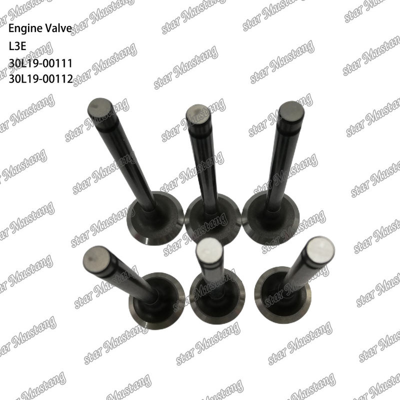 L3E 30L19-00111 30L19-00112 डीजल इंजन वाल्व Mitsubishi स्पेयर पार्ट्स के लिए उपयुक्त
