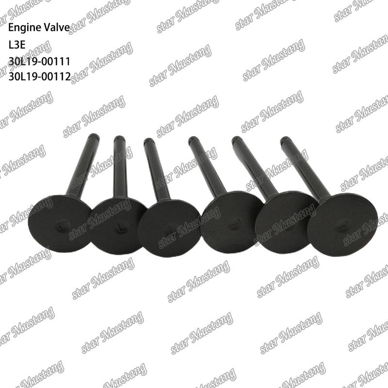 L3E 30L19-00111 30L19-00112 डीजल इंजन वाल्व Mitsubishi स्पेयर पार्ट्स के लिए उपयुक्त
