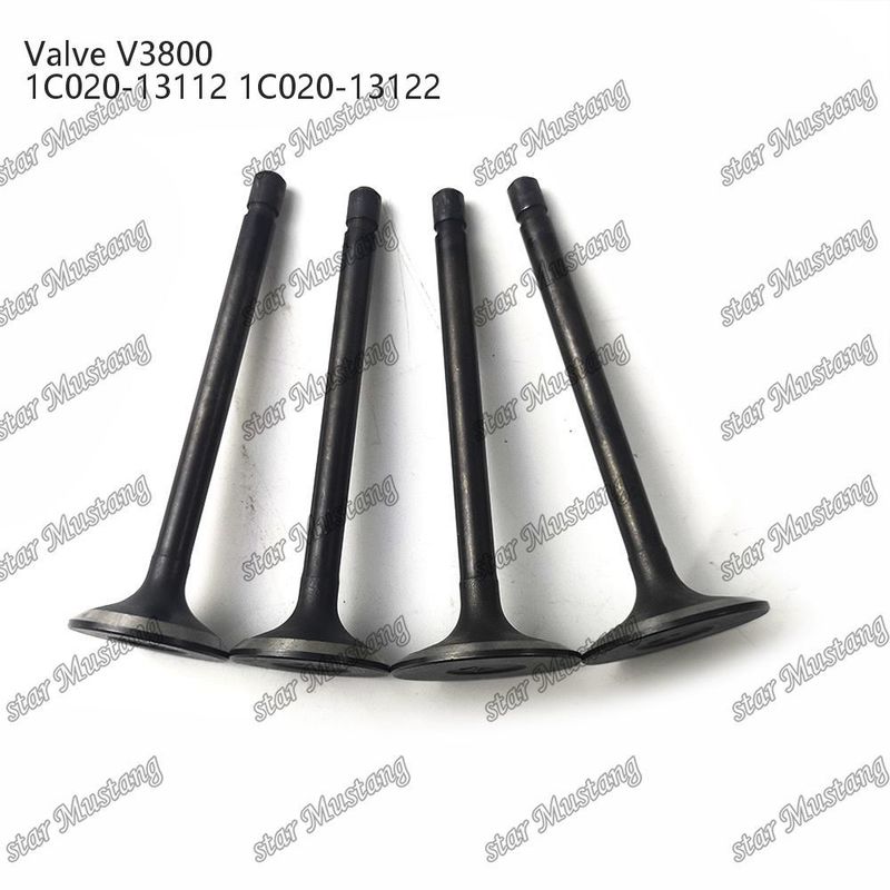 V3800 1C020-13112 1C020-13122 डीजल इंजन पार्ट मूल स्टॉक इंटीग्रल स्ट्रक्चर वाल्व ऑनलाइन समर्थन के साथ