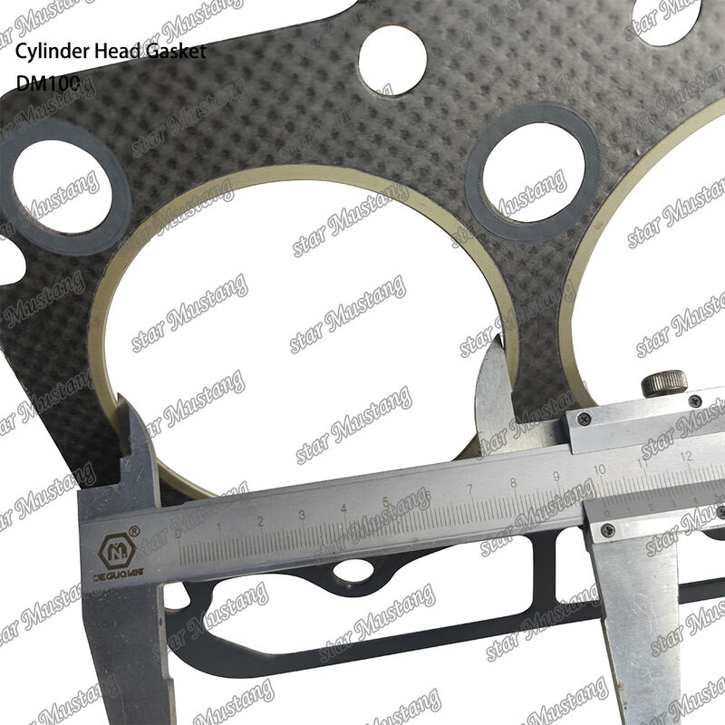 डीजल इंजन के लिए डीएम100 हेड गैस्केट, एकीकृत संरचना और ओईएम आकार के साथ